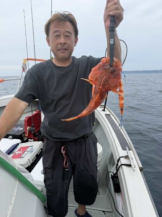 オニカサゴ