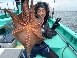 タコ