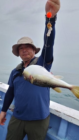 ショウサイフグ