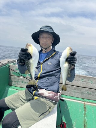 ショウサイフグ