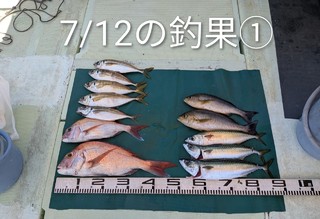 マダイ