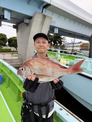マダイ