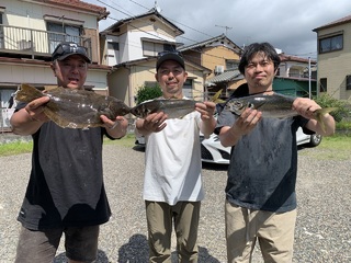 アジ