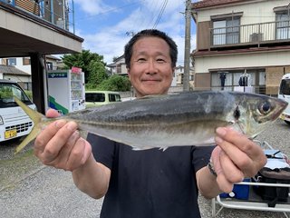 アジ