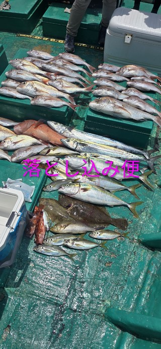 ヒラメ