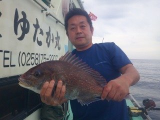 マダイ