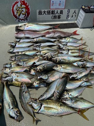 オニアジ