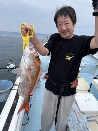 マダイ