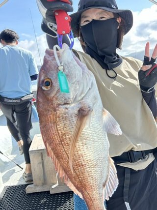 マダイ