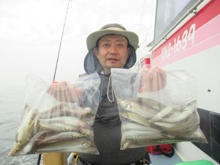 シロギス