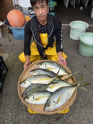 シマアジ