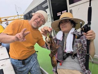 マダコ