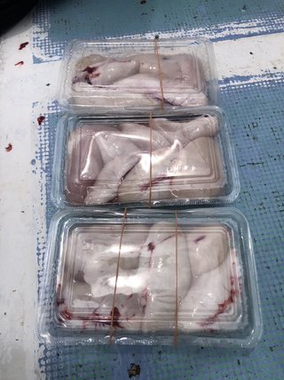 ショウサイフグ