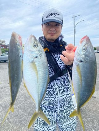 シマアジ