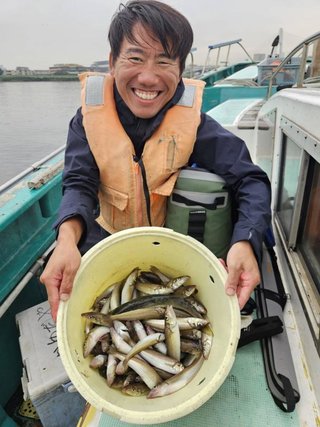 シロギス