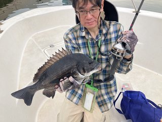 クロダイ