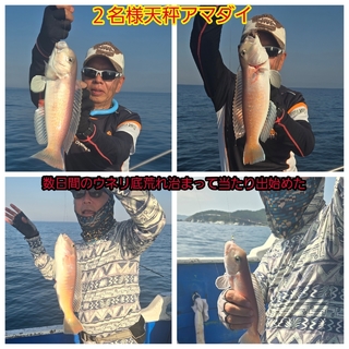シロアマダイ