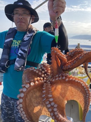 タコ