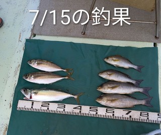マサバ