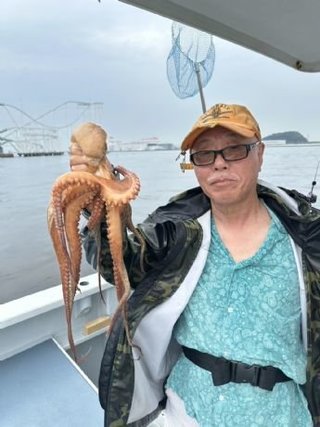マダコ