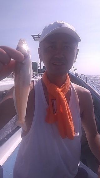 シロギス