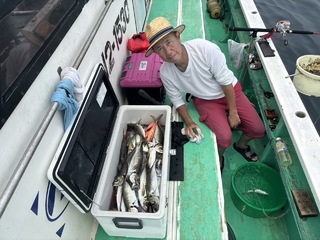 マアジ