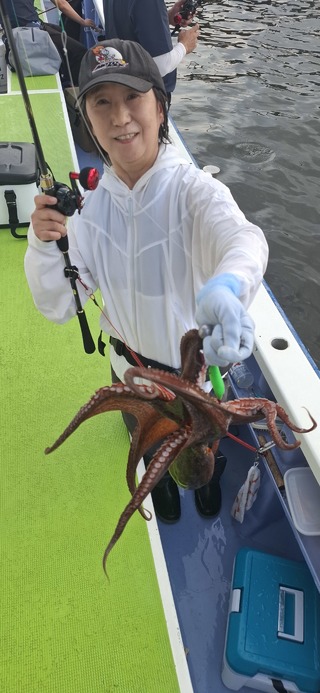 タコ