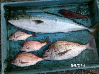 タイ