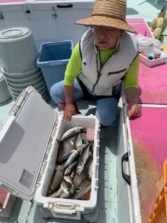 アジ