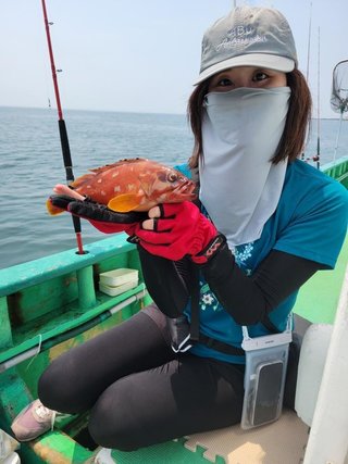 シロギス