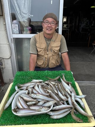 シロギス