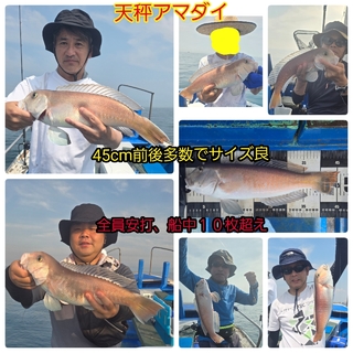 シロアマダイ