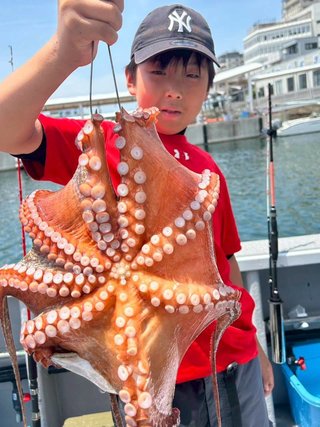 タコ
