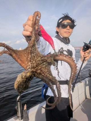タコ
