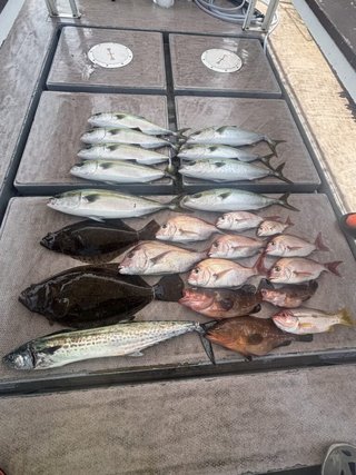 サワラ