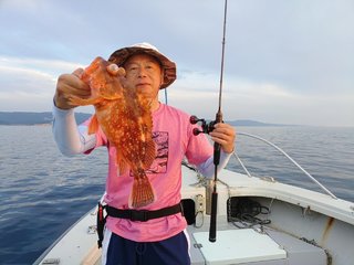 ウッカリカサゴ