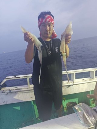シロイカ