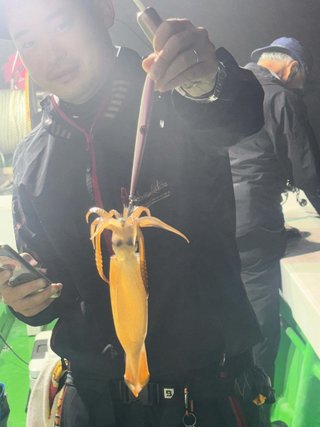 スルメイカ