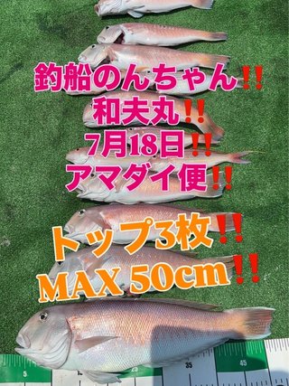 シロアマダイ