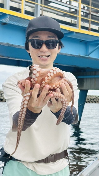 タコ