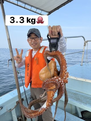 マダコ