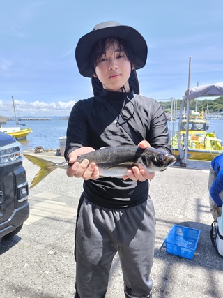 アジ