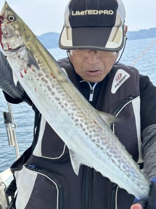 サワラ