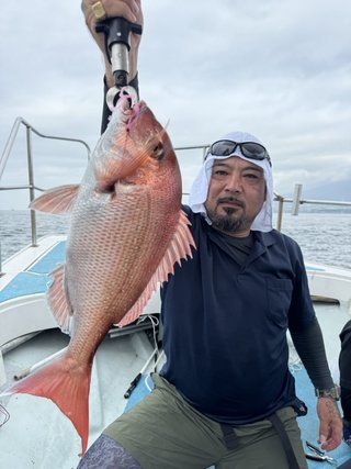 マダイ