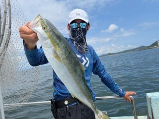 ハマチ
