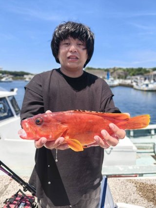 イシダイ
