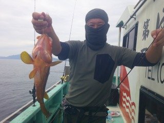 キジハタ