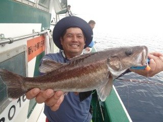 ヒラマサ