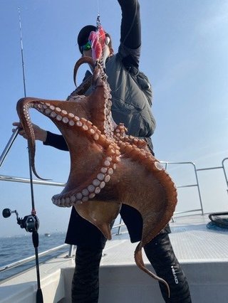 メジロ