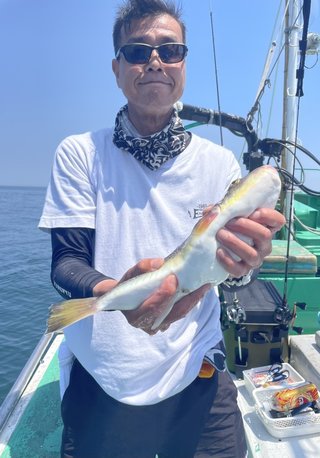 ショウサイフグ
